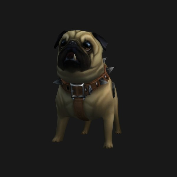 Perky Pug