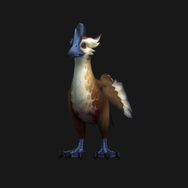 Ironbeak Duck