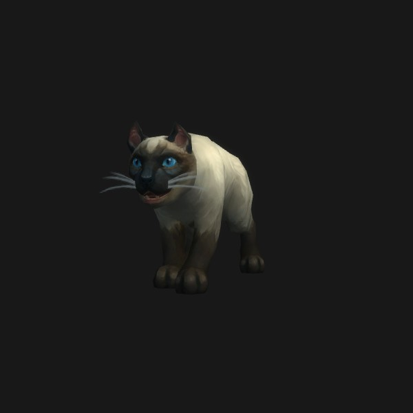 Siamese Cat