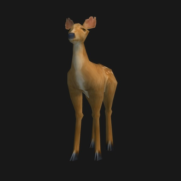 Fawn