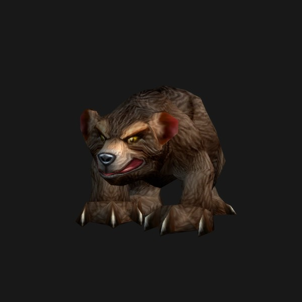 Darkshore Cub