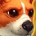 inv_corgi2