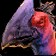 Darkmoon Hatchling Icon