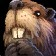 Spiketail Beaver Icon