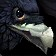 Shadefeather Hatchling Icon