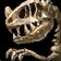 Fossilized Hatchling Icon