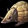 Armadillo Pup Icon