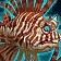 Jean's Lucky Fish Icon