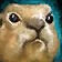 Prairie Dog Icon