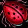 Lava Beetle Icon