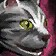 Silver Tabby Cat Icon