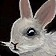 Snowshoe Hare Icon