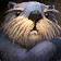 Sifang Otter Icon